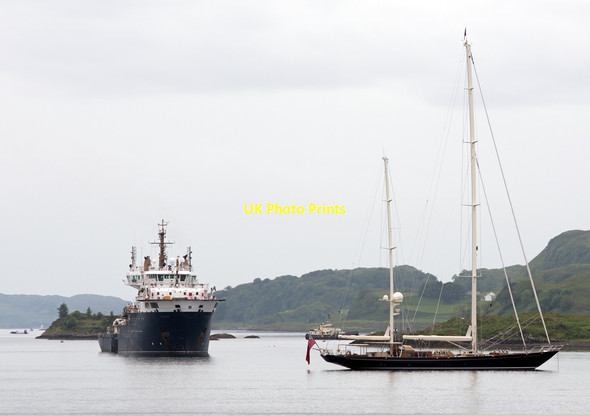 Photo 6"x4" Pharos and Huckleberry in Oban Bay Oban\/NM8630 c2015