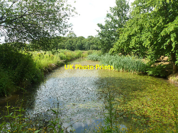 Photo 6"x4" Moat, Lawns Wood Gilston Park c2015