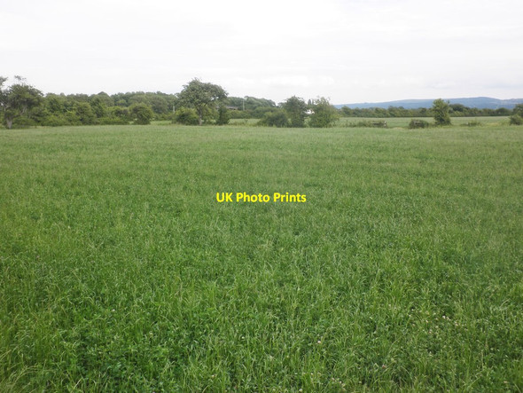 Photo 6"x4" Field, east of Bourton Lane Bourton\/ST3764 c2015