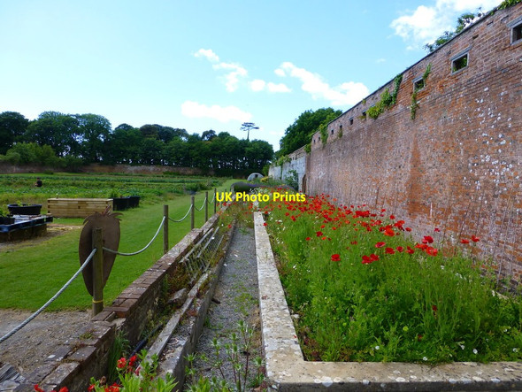 Photo 6"x4" Walled garden at Stackpole St Petrox c2015