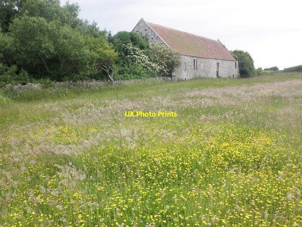 Photo 6"x4" Meadow at Woodspring Priory Woodspring Priory c2015