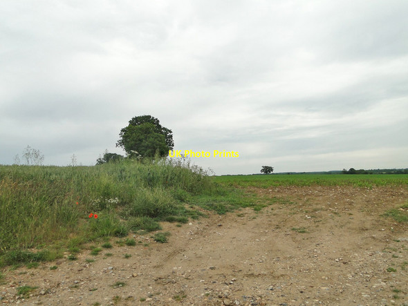 Photo 6"x4" Field entrance off Hurn Lane Tacolneston c2015