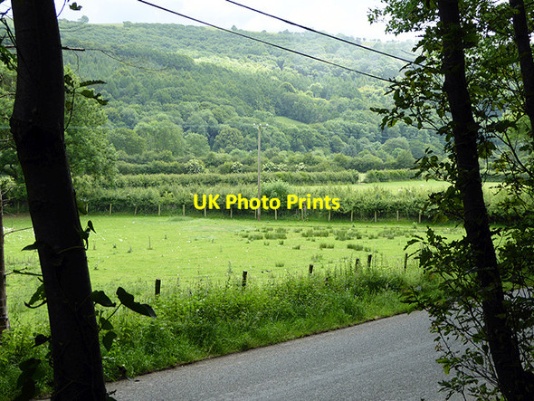 Photo 6"x4" Pasture in Cwm Rheidol Nantyronen Station c2015