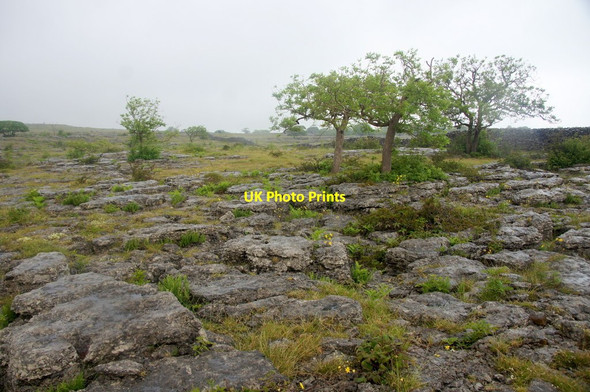 Photo 6"x4" Limestone pavement, Holmepark Fell Newbiggin\/SD5579 c2015