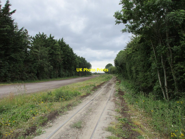 Photo 6"x4" Narrow gauge railway crossing Belmont Road Clonfinlough c2015