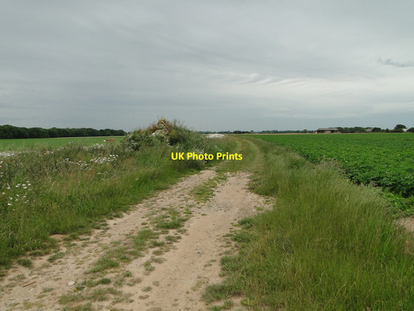 Photo 6"x4" Farm trackway where once stood an old farm building Repps c2015