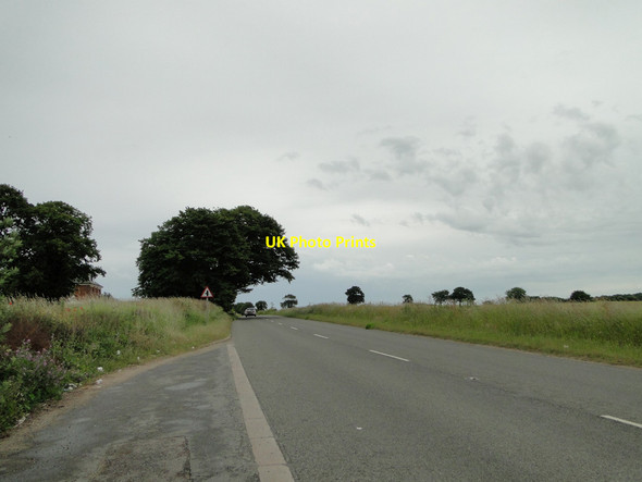 Photo 6"x4" Repps Road, Bastwick near Rectory House Cess c2015