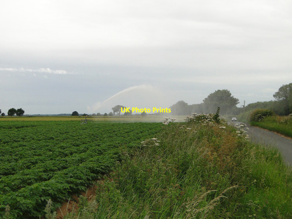Photo 6"x4" Irrigating the potato crop at Clippesby Clippesby c2015