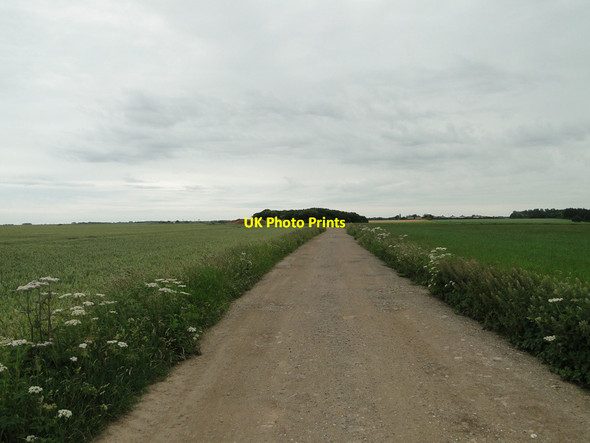 Photo 6"x4" Private road  to Church Farm, Martham Martham c2015