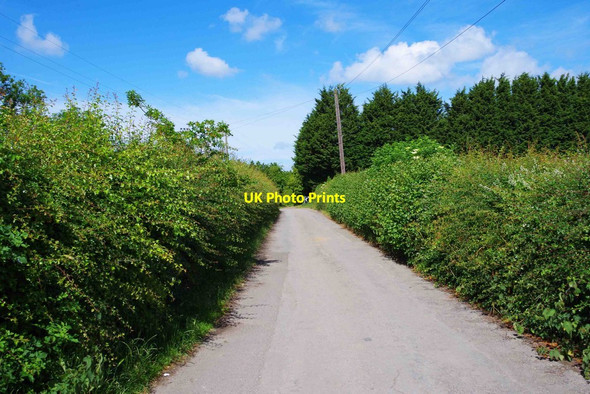 Photo 6"x4" Kilkenny Lane, near Carterton, Oxon Carterton\/SP2806 c2015