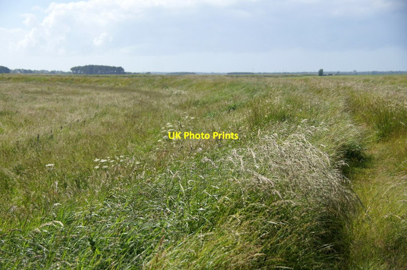 Photo 6"x4" Fields beside the River Alt below Homer Green Homer Green c2015