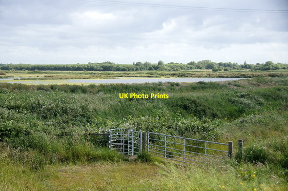 Photo 6"x4" Lunt Meadows Nature Reserve Homer Green c2015