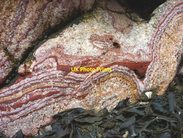 Photo 6"x4" Mineralization, Know End Point Silverdale Green c2015