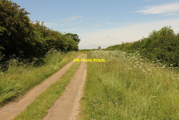 Photo 6"x4" Long Hollow Braceby c2015
