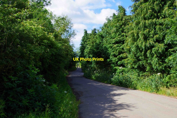 Photo 6"x4" Kilkenny Lane, near Carterton, Oxon Carterton\/SP2806 c2015