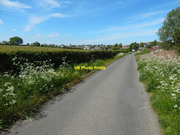 Photo 6"x4" Cleddans Road Bearsden c2015
