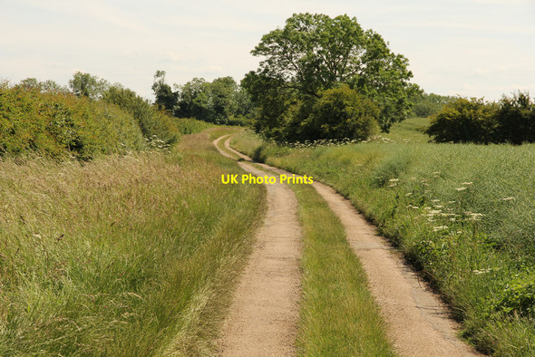 Photo 6"x4" Long Hollow Braceby c2015