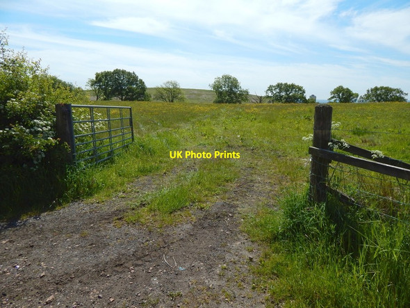 Photo 6"x4" Field gate Bearsden c2015