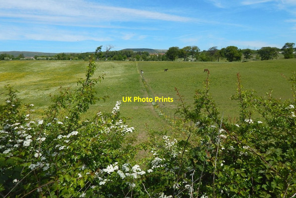 Photo 6"x4" Field boundary Bearsden c2015