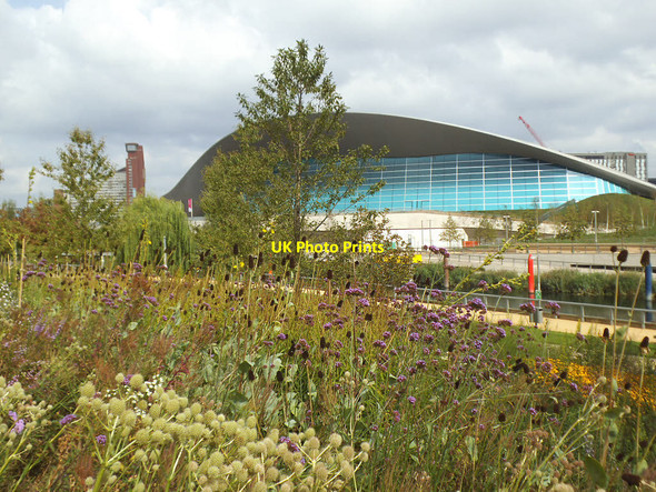 Photo 6"x4" Summer flowers in the Olympic Park Stratford\/TQ3884 c2014