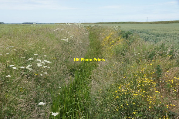 Photo 6"x4" Drainage ditch near Baines Bridge, Ince Blundell Carr Houses\/SD3203 c2015