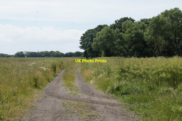 Photo 6"x4" Farm track near Hightown Hightown\/SD2903 c2015