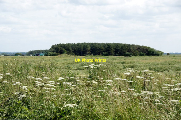 Photo 6"x4" Fields and woodland, Marsh Lane, Ince Blundell Lady Green\/SD3103 c2015