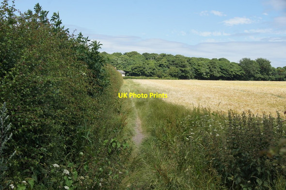Photo 6"x4" Footpath to Little Crosby woods Crosby\/SJ3198 c2015