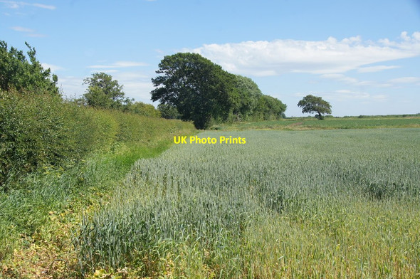 Photo 6"x4" Footpath and fields, Parkwall Lane, Ince Blundell Homer Green c2015