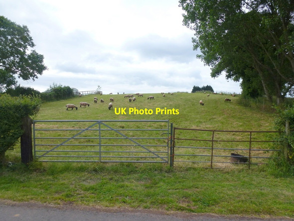 Photo 6"x4" Kilcot Hill Kilcot c2015