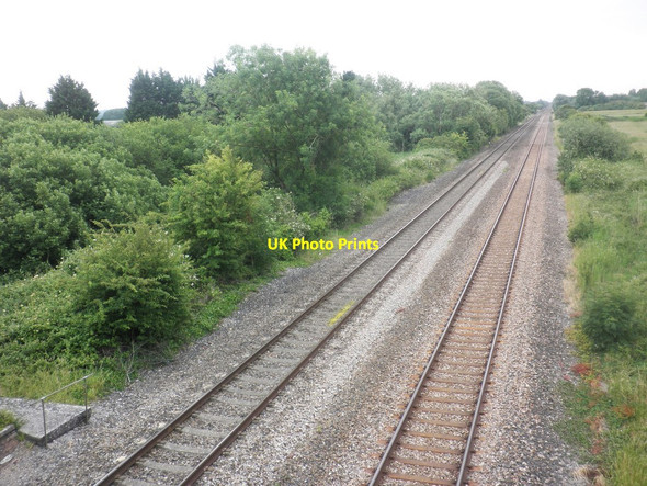 Photo 6"x4" View north from Withy Bridge Huntspill c2015