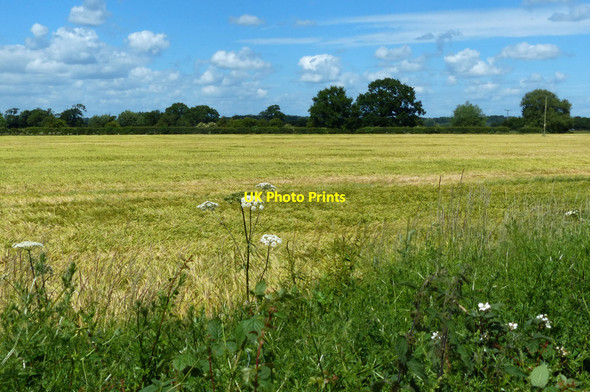 Photo 6"x4" Farmland next to the Trent & Mersey Canal The Sale c2015
