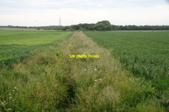 Photo 6"x4" Ditch beside Middle Moss Lane, Great Altcar Great Altcar c2015
