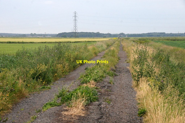 Photo 6"x4" Middle Moss Lane, Great Altcar Great Altcar c2015