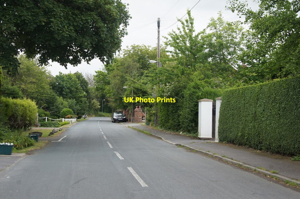 Photo 6"x4" The Formby end of Downholland Moss Lane Formby c2015