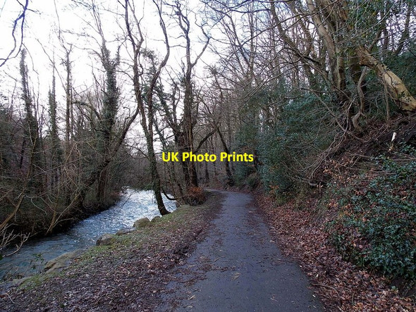 Photo 6"x4" Public footpath through St David's Wood, Blackwood Blackwood\/Coed Duon c2014