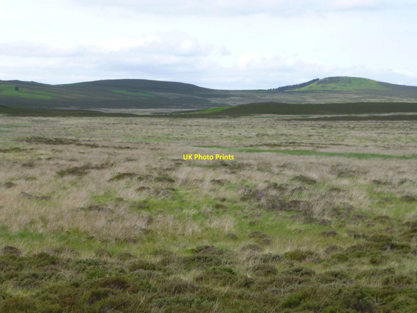 Photo 6"x4" Cateran Meadows Moss Eglingham c2015
