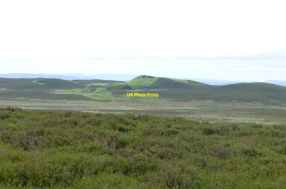 Photo 6"x4" Cateran Meadows Moss  Hepburn c2015