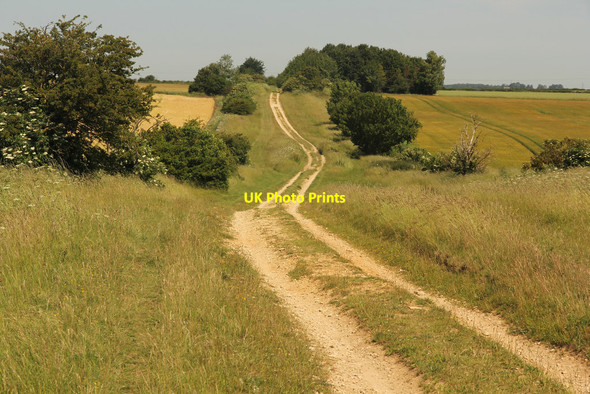 Photo 6"x4" High Dike High Dyke Fm\/SK9951 c2015