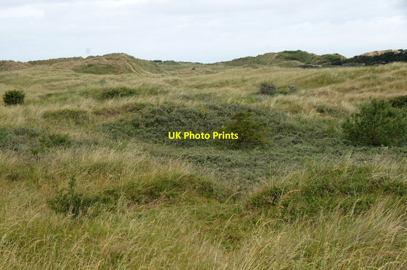 Photo 6"x4" Stabilised dunes at Cabin Hill Nature Reserve, Formby Hightown\/SD2903 c2015