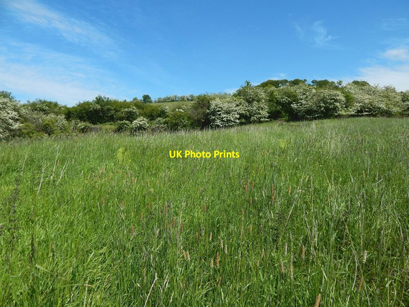 Photo 6"x4" The course of the Antonine Wall Bearsden c2015