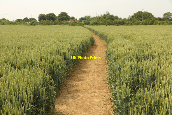 Photo 6"x4" Footpath to Halfway Houses Morton\/SK8863 c2015 P1