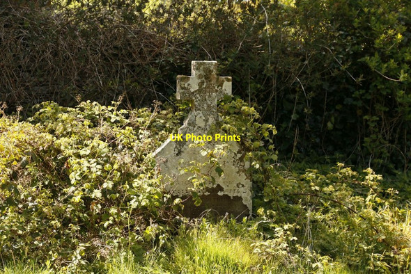 Photo 6"x4" Cross in the Weeds Aberedw c2015