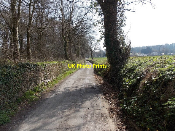 Photo 6"x4" Tingle Lane, Ewenny Corntown\/SS9177 c2014