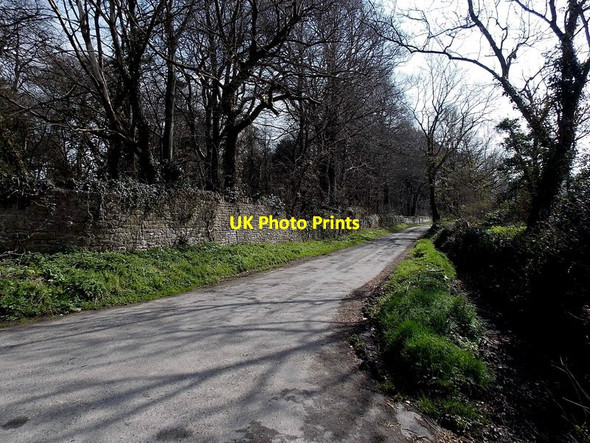 Photo 6"x4" Northern end of Tingle Lane, Ewenny Corntown\/SS9177 c2014