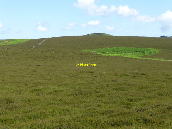Photo 6"x4" Bracken among the heather Hepburn c2015