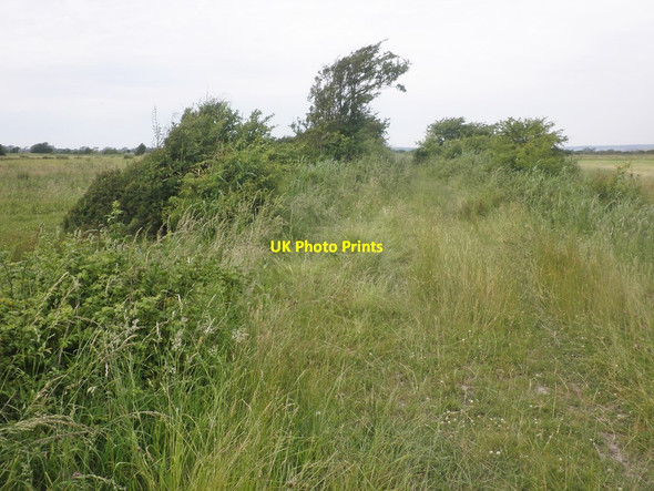 Photo 6"x4" Overgrown track on Ford Common Wick\/ST3253 c2015