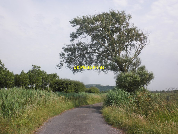 Photo 6"x4" Middle Street Wick\/ST3253 c2015