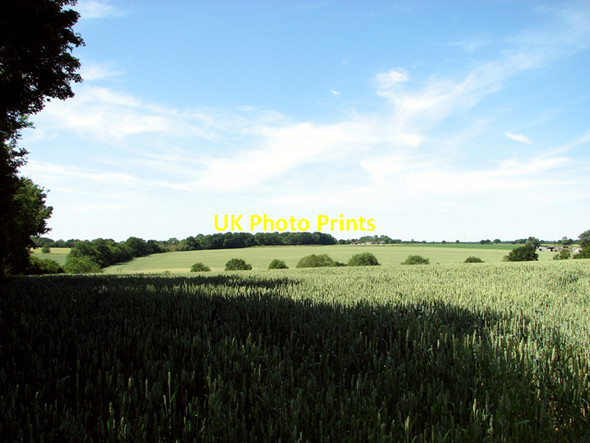 Photo 6"x4" Crop fields as seen from Clink Hill Heckfield Green c2015