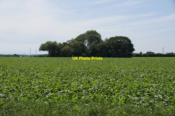 Photo 6"x4" Fields, Green's Lane, near Downholland Cross Downholland Cross c2015